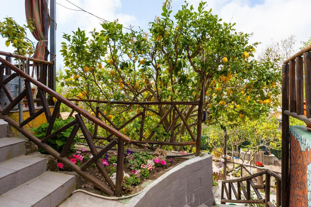 Nitrodi Experience Pension Barano dʼIschia Buitenkant foto