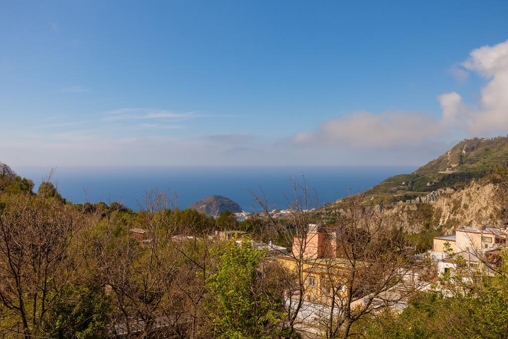 Nitrodi Experience Pension Barano dʼIschia Buitenkant foto